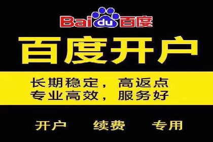百度竞价推广代运营成功案例：某汽车品牌线上营销策略揭秘